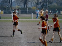 0DIA 1984 RAVA PUPS 1